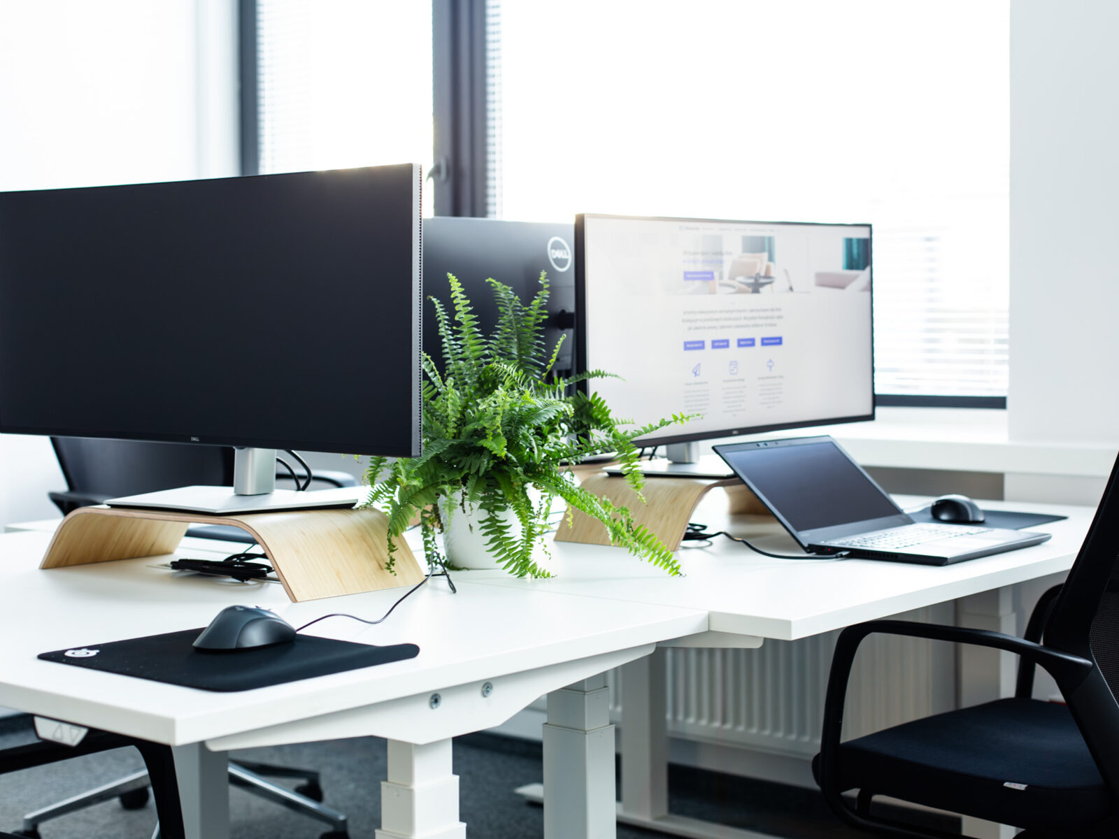 Coworking s82 — Coworking s82, Białystok (2)